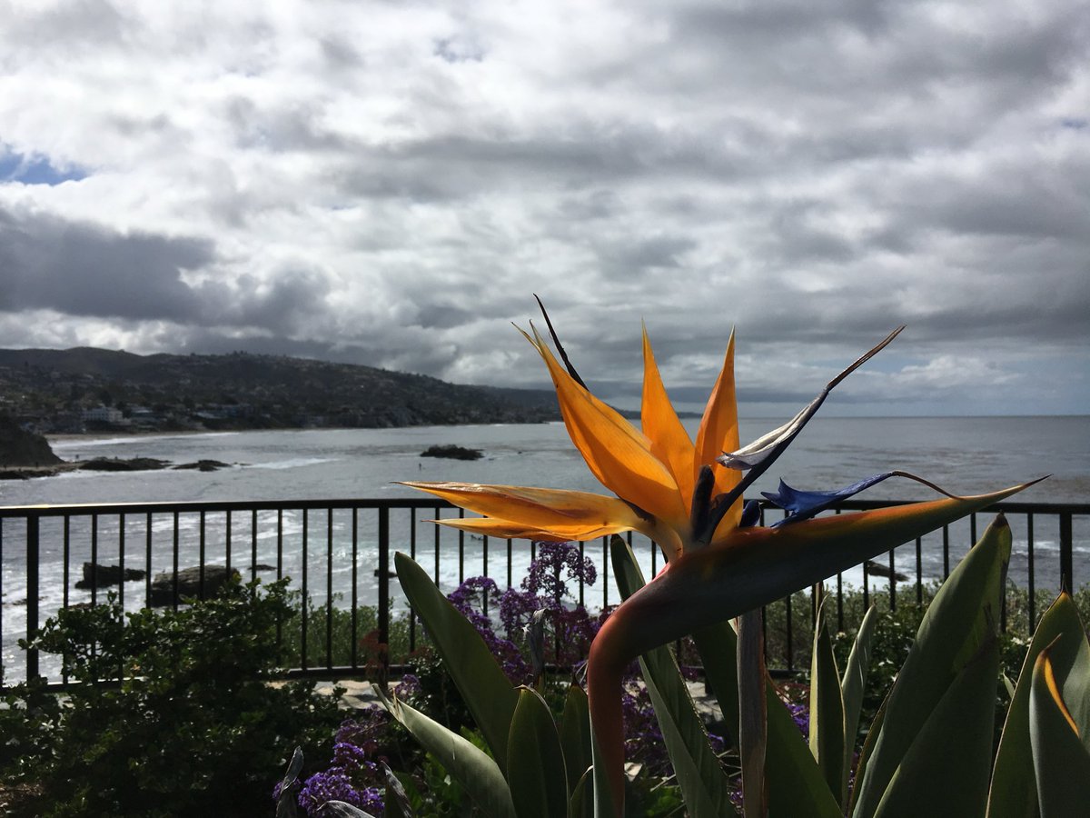 fred reish tweet media