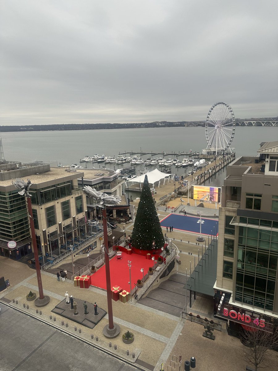 floydstpatrick's tweet image. 