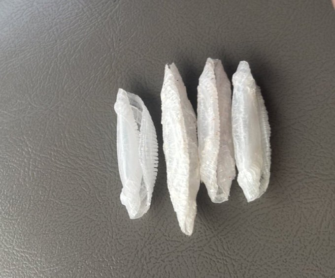 DUI REBEL tweet media