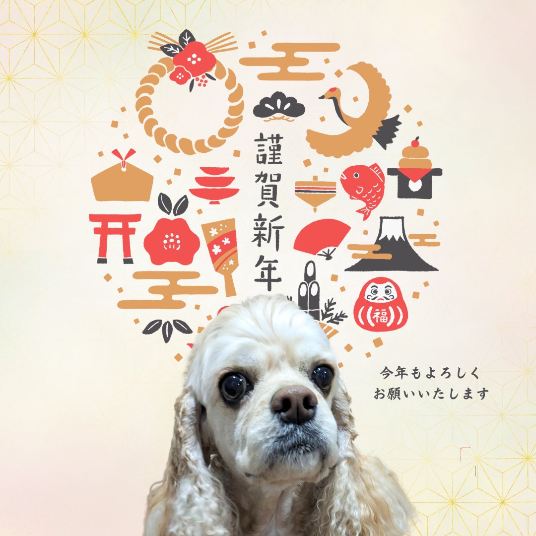 Doog morning ＆ happy new year!