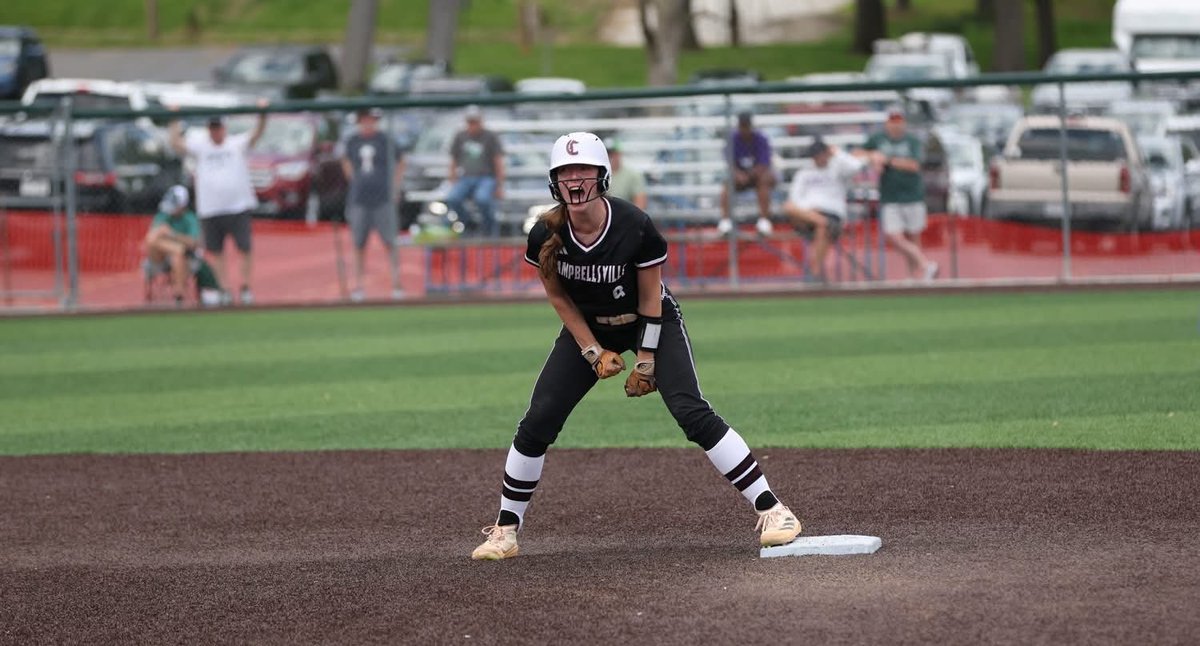 LadyTigerSoftball tweet media