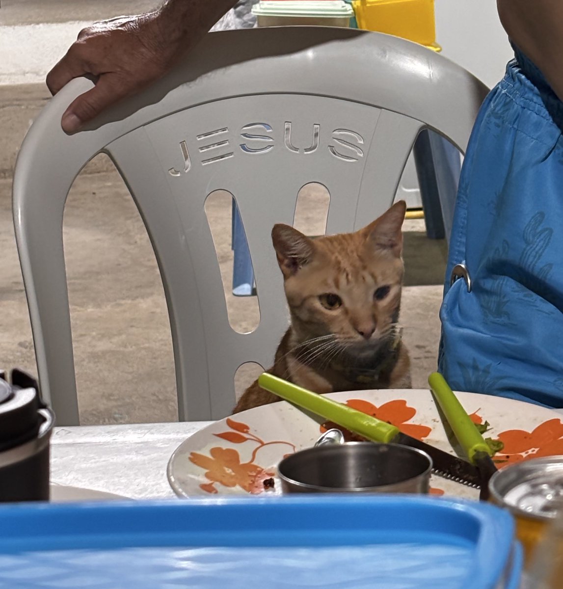 thnkngboutsuga's tweet image. ele e o pratinho dele esperando o ano novo