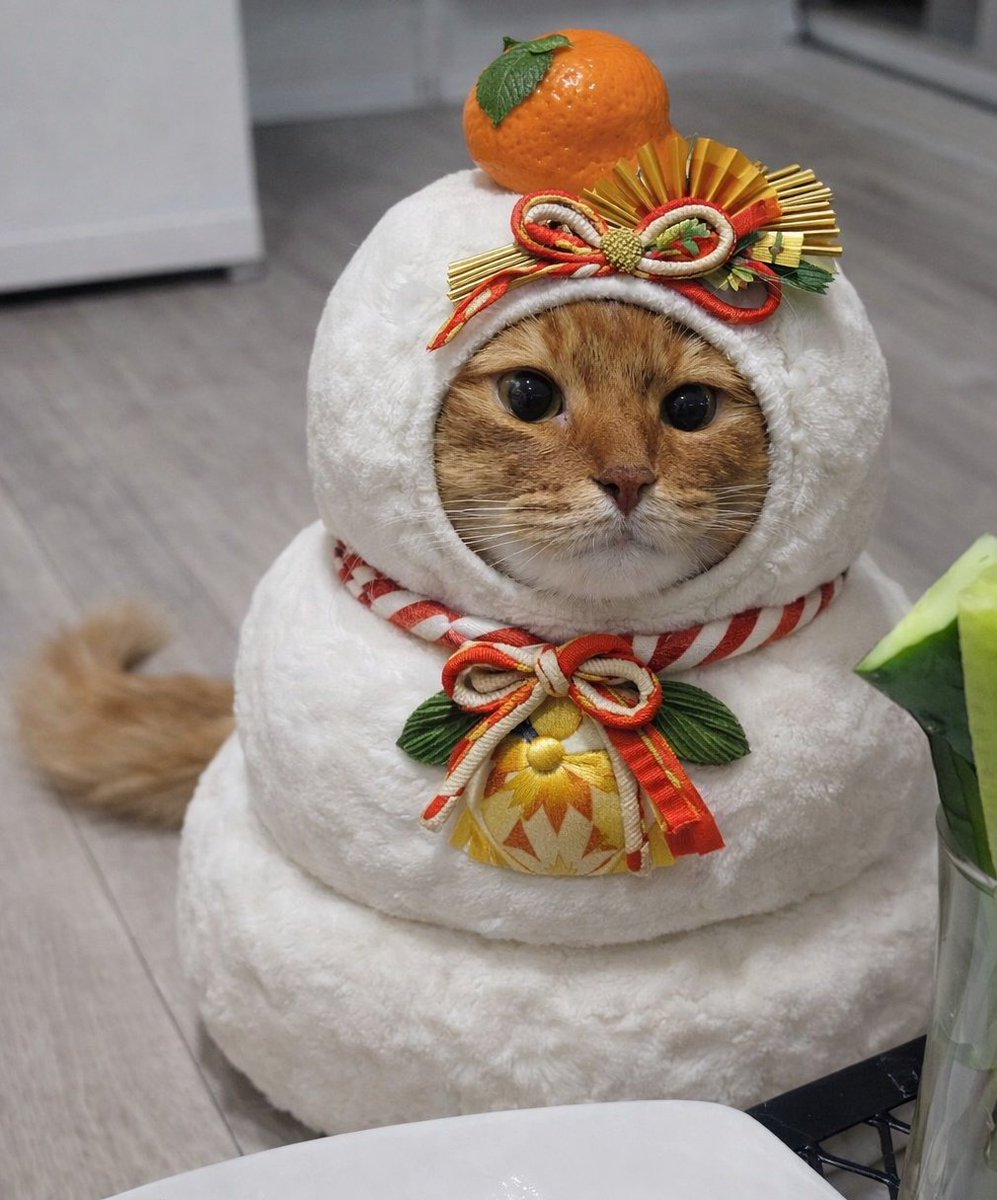 ゆきんこ 直接受け渡し ハワイにて、アロハシャツやヴィンテージの戦利品をゲット #hawaii