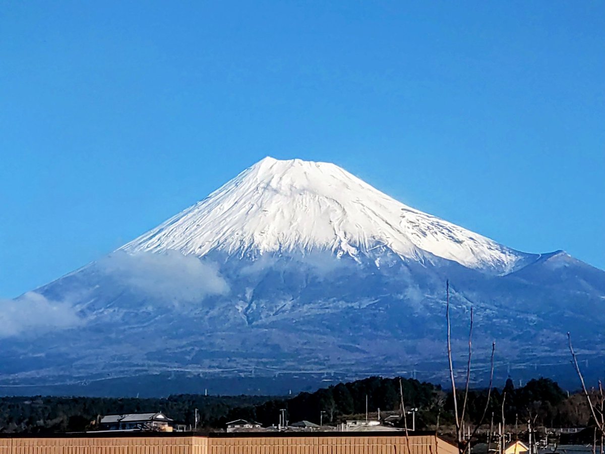 Syookun1012's tweet image. 新年明けましておめでとうございます😊
今年もよろしくお願いします😀🐴🎍