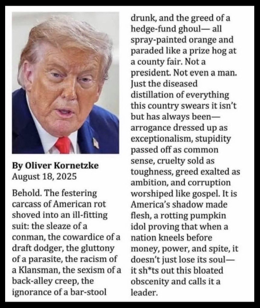 kangaroos991's tweet image. Another brilliant exposé from the pen of
American author #OliverKornetzke! 🙏

Please, do NOT share, got it? 😉

🎯 From: 👉🏾 @EastEndJoe #VoteBlue 💙