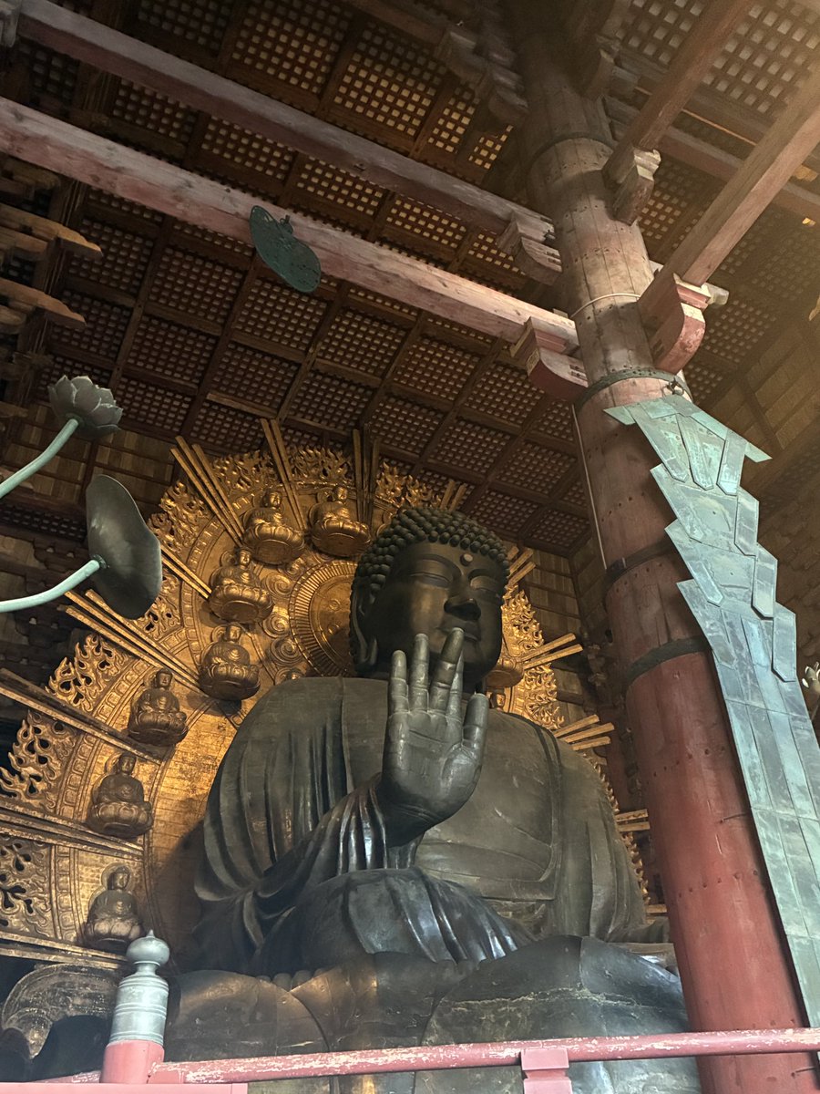 ひろビ (@hiroruru47) / Posts / X