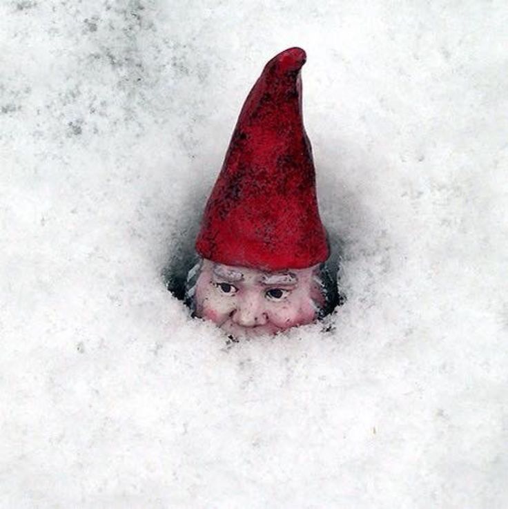 Stöpych🔞 tweet media