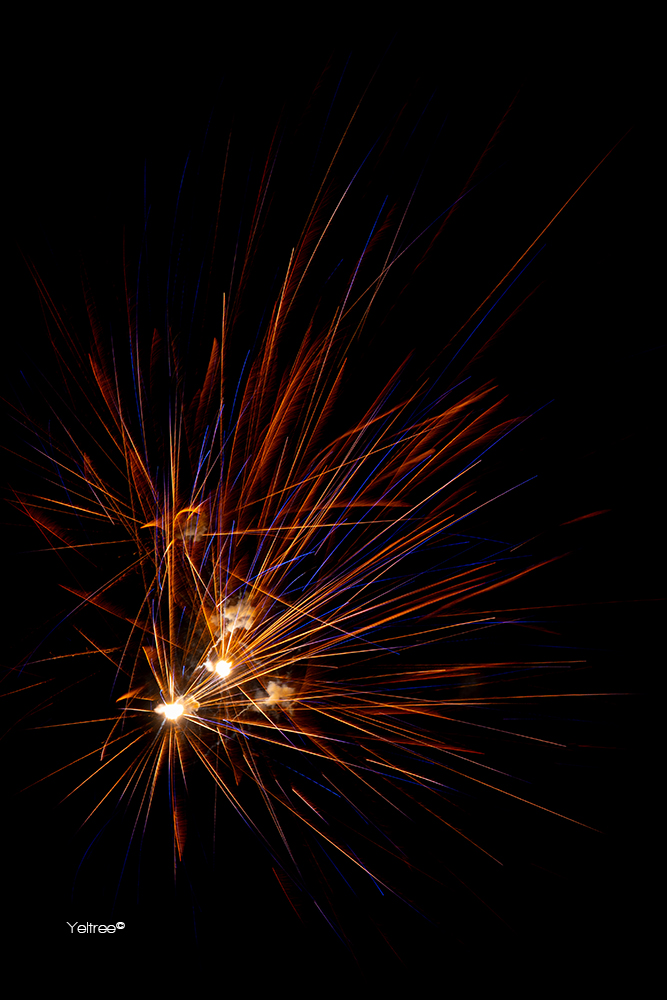 Yeltree's tweet photo. Happy New Year https://t.co/YuG0oDPeeK