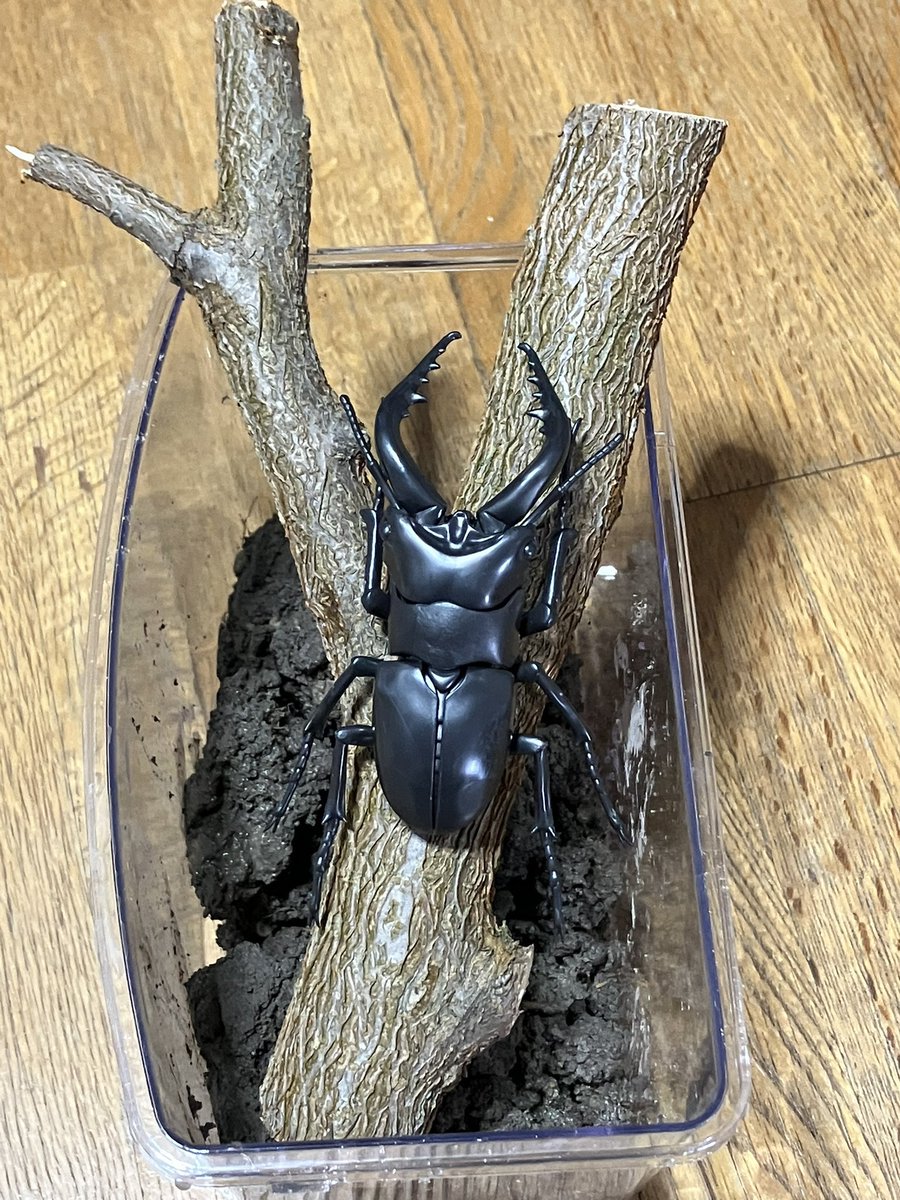 ポテト。 (@or_umx) on X