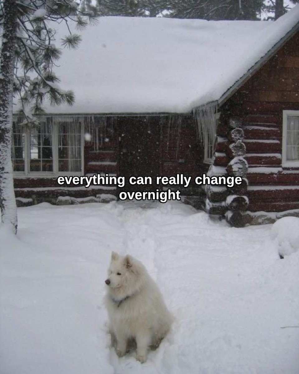 ⚔️🎀 𝔉𝔦𝔞𝔡𝔥 🎀⚔️ tweet media