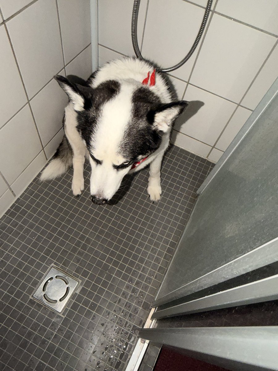 Ben evladımı her şeyden korumaya çalışırken her sene 4-5 gün yaşanan şu zalimliği kabul etmiyorum ya kabul etmiyorum! Bir şey olur korkusuyla duşa kabinin içinde beraber oturduk bir ben gittim bir murat. Gerçekten evdeki evladım şu haldeyse sokaktakilerin bu gece başına neler