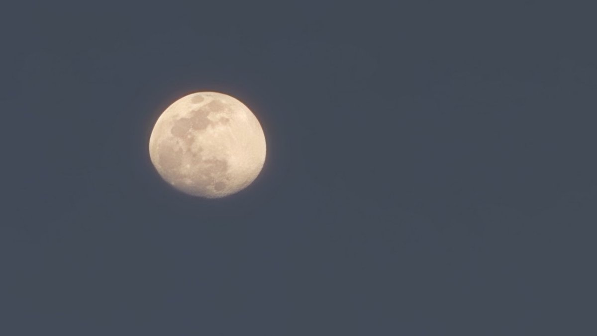 dr_r_sanchez's tweet photo. Última luna 2025 https://t.co/scOsTwVZMw