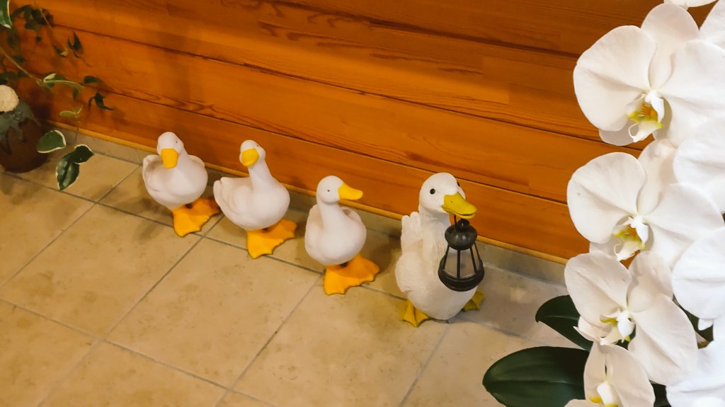 エリンギ (@__eringi_7) / Posts / X