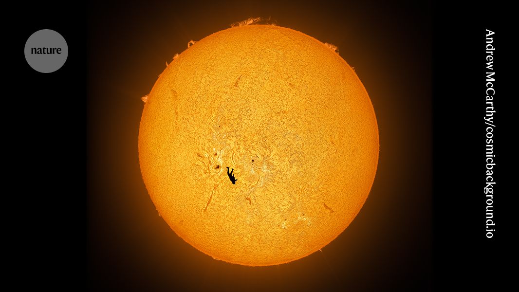 NaturePortfolio's tweet photo. The best science images of 2025, as picked by Nature, include the Sun’s fiery surface, a tattooed tardigrade, and rare red lightning. See more. https://t.co/gUE6Wmgr4d https://t.co/mh559plgYX