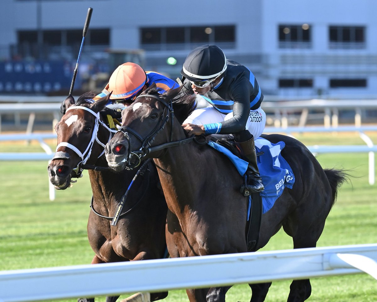 Philip Antonacci tweet media