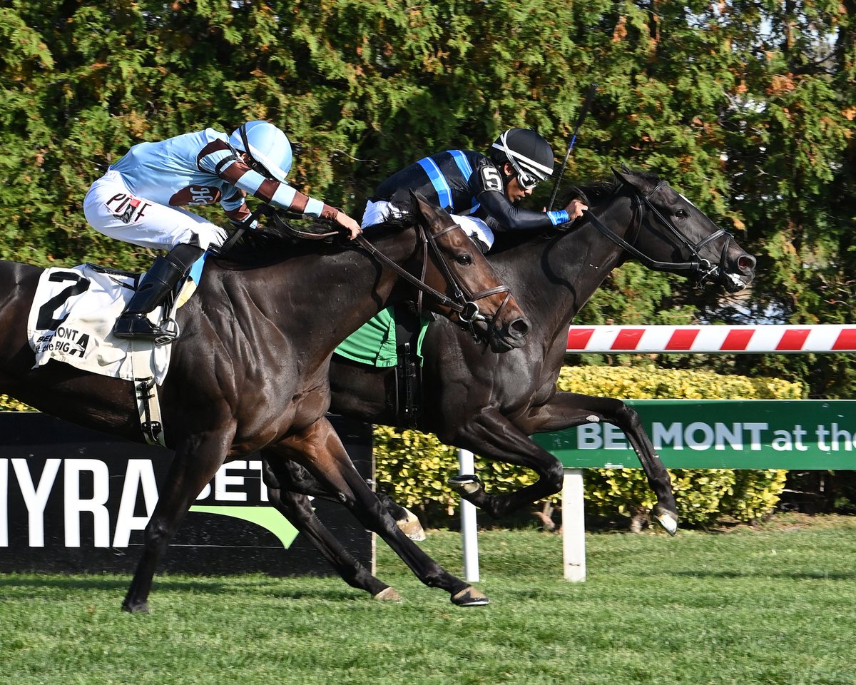 Philip Antonacci tweet media