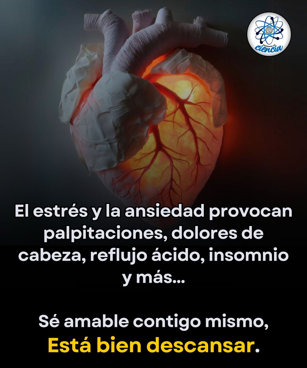 El estrés y la ansiedad no viven solo en la mente.
Cuando se mantienen por mucho tiempo, pueden provocar palpitaciones, dolores de cabeza, reflujo ácido, tensión muscular e incluso insomnio.

Esto ocurre porque el cuerpo activa constantemente su modo de “alerta”, liberando