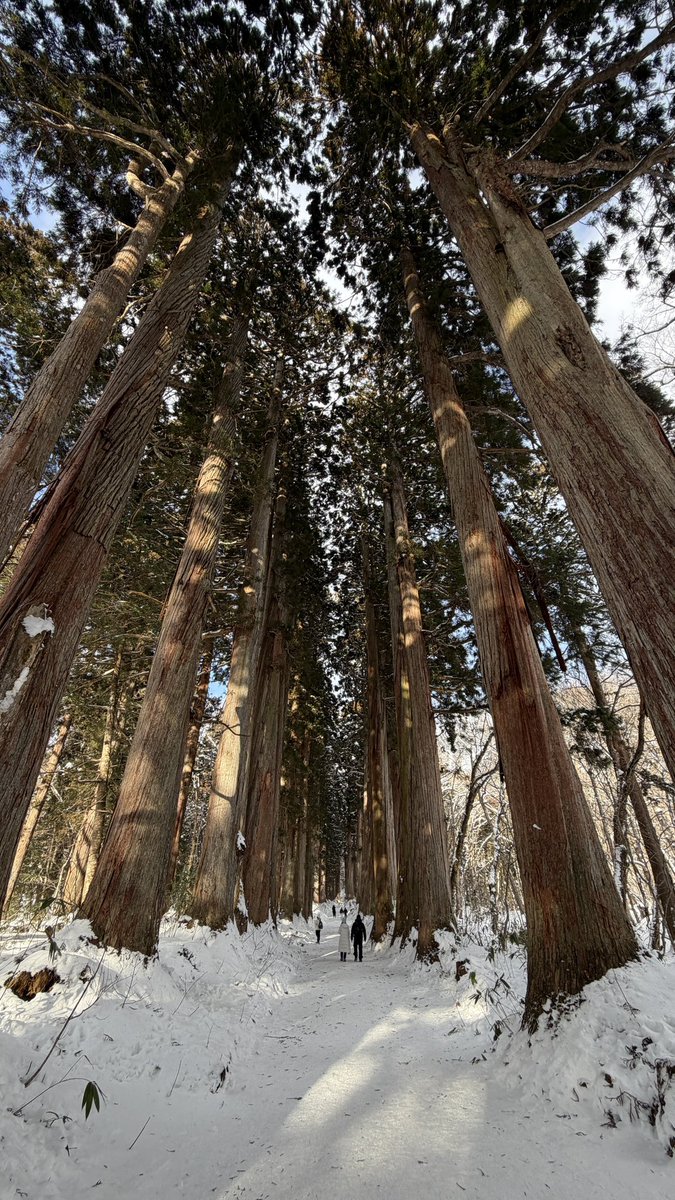 DeepRed_Forest's tweet photo. 戸隠初詣 https://t.co/PIdnniUNqG
