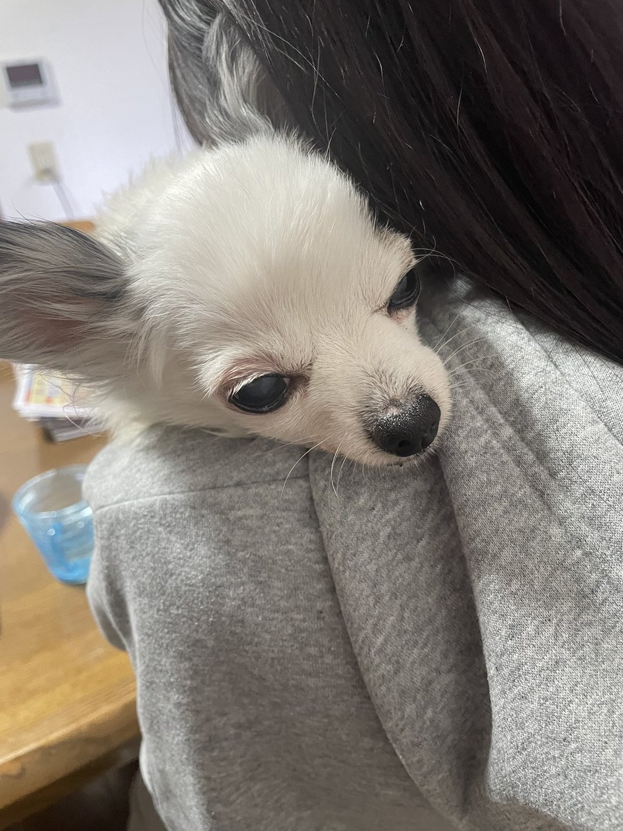 かわいい💗💗💗