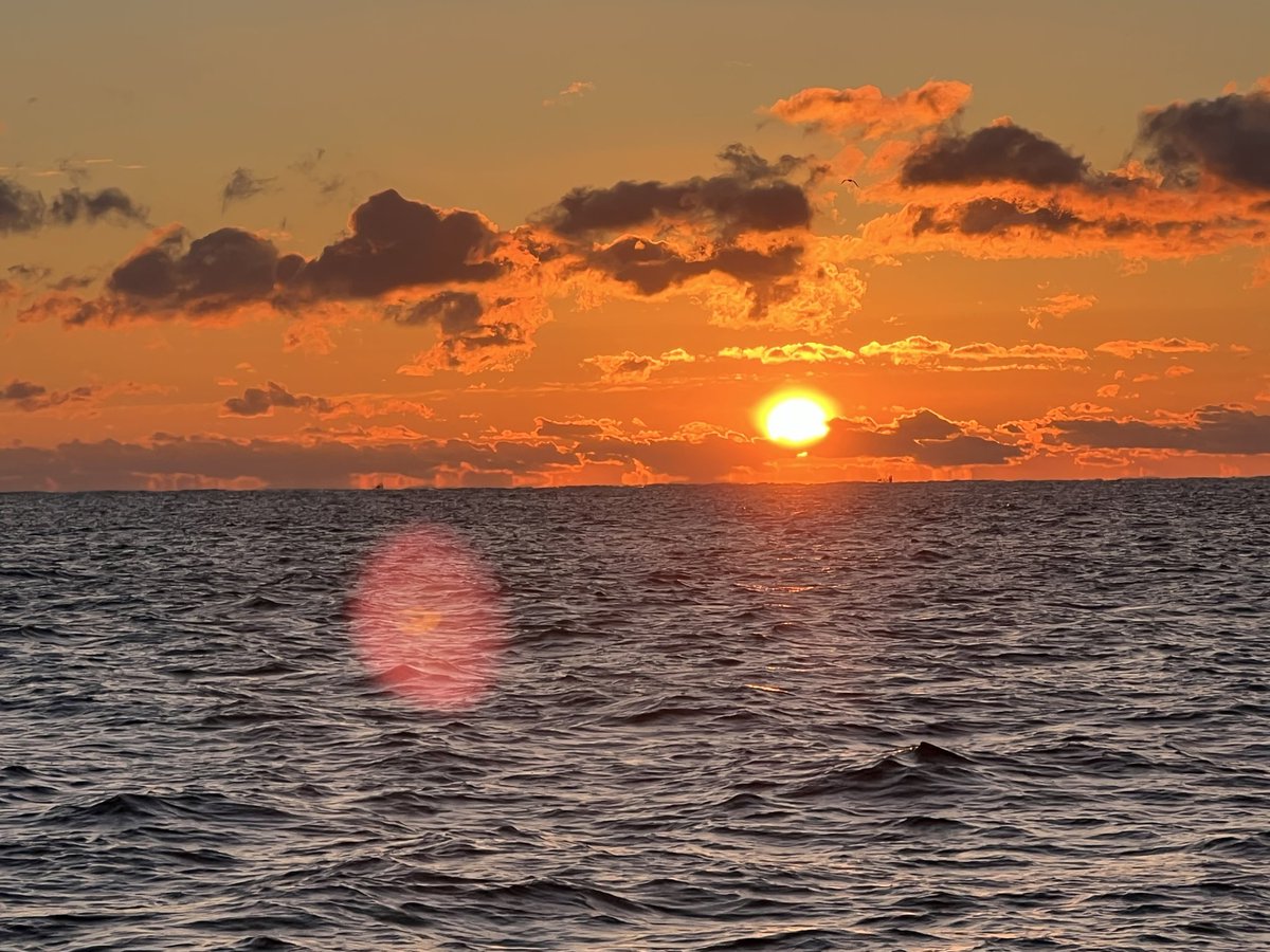 宮古うみねこ丸 tweet media