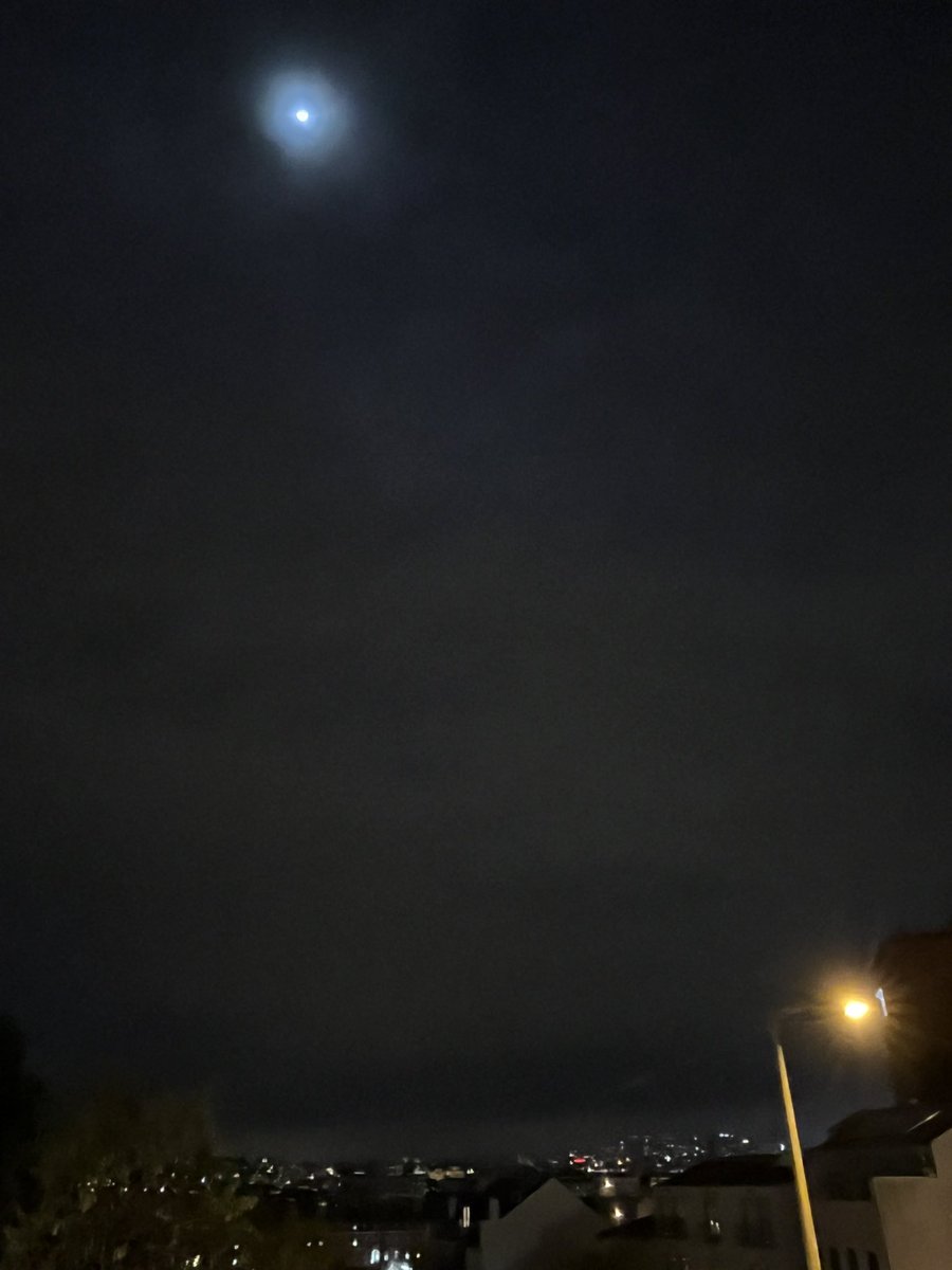 flexus's tweet image. feliz 2036 névoa maconha laura palmers theme