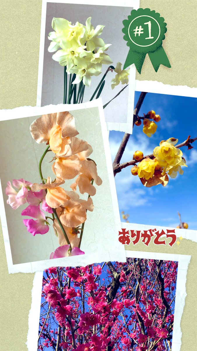 かめきち♬︎♡プロフ必読♬︎♡になります。 Deco*27 奏愛 -so i- Full Album] Track #6 ん←ゅちぷか (English