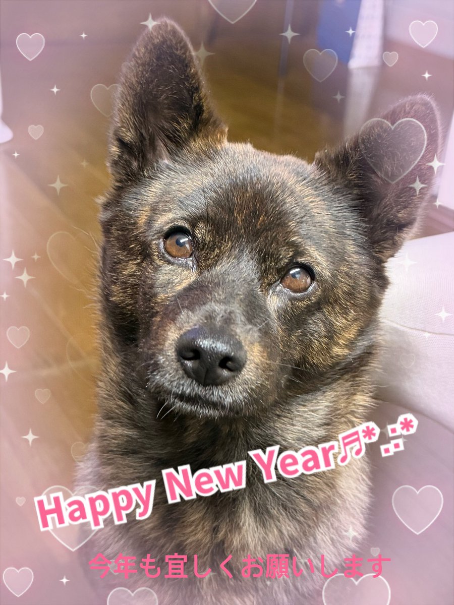 RinRin-Cafe (@CafeRinrin1) / Posts / X