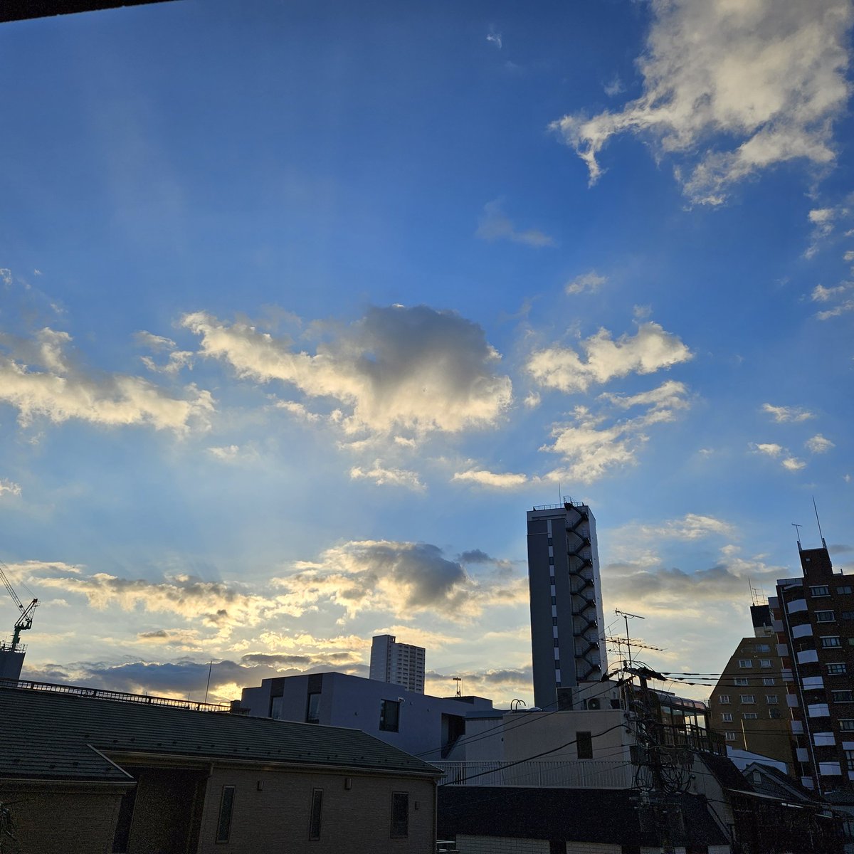 hakomaru8's tweet photo. 🎍明けましておめでとうございます🐴
🐱は一年中一緒に寝るようになり夜中1～2時間おきにふみふみしたりご飯コールで乳児を育てているみたいです(嬉しい)
ご飯も手から、トイレもそばに来て～いつも隣に居て～！状態です(嬉しい)
昨年11月の血液検査の結果もまずまずでした。今年も一緒に頑張ります✨ https://t.co/bO8omlRi5Q