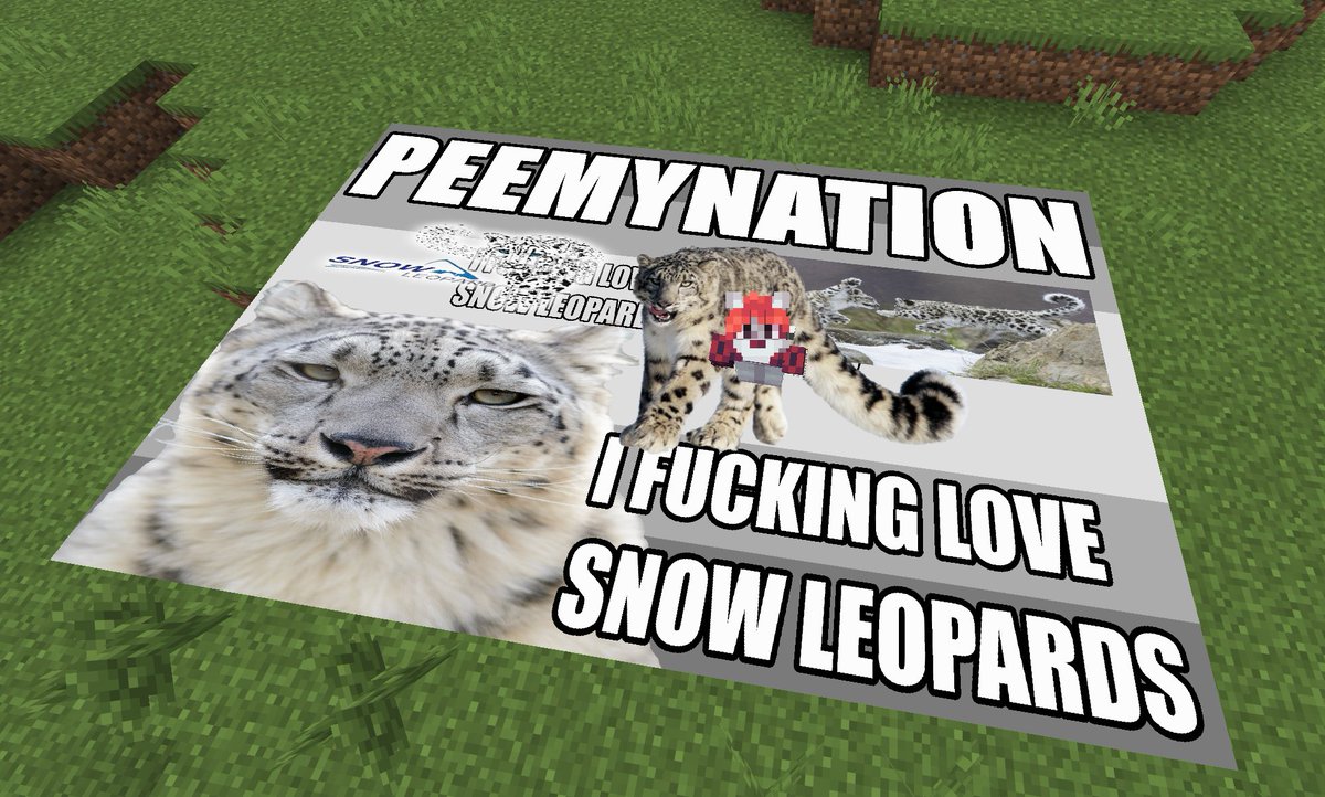 addi 🏳️‍⚧️ tweet media