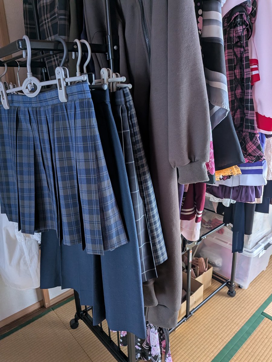 きなこ⭐︎ きなこ (@kinako0429_official) • Instagram photos and videos