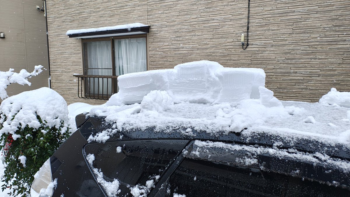 雪雨ページ OMG!! 元旦。新年早々大雪❄。新聞取りに玄関でたら積雪25cm。🥴 #大雪