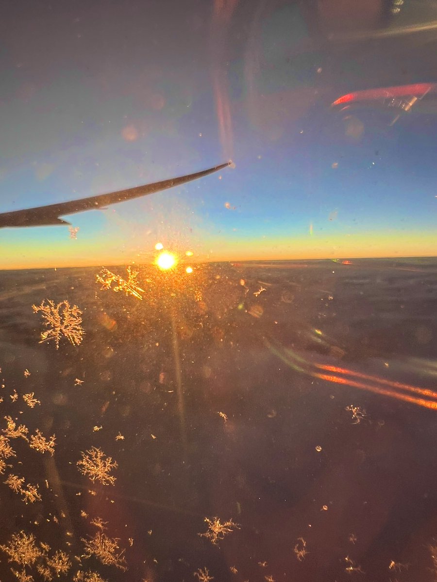 ＳＫ⭐︎お値下げお断り ミスターマックス、「値下げ断行！」企画を実施 200アイテムを値下げ