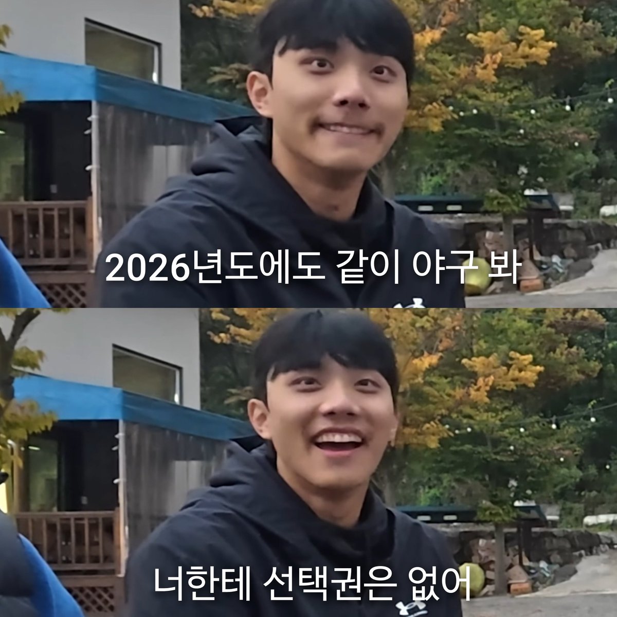 올해도 ⚾️🦁