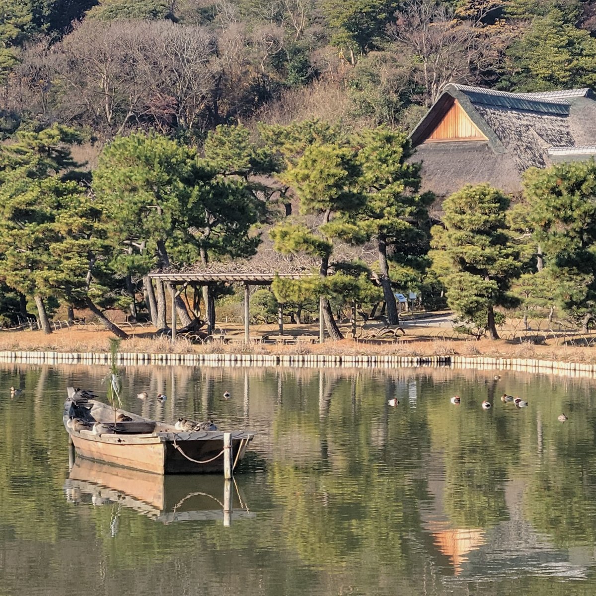 HSankeien's tweet image. 2026年明けましておめでとうございます。今年は開園120周年を迎える記念すべき年となります。皆さまに喜んでいただけるイベントを今年も沢山ご紹介いたします。本年もどうぞよろしくお願いいたします。
生け花の室礼は飯島鼎甫先生（宣法未生流七世家元）の作品です。
#三溪園で過ごすお正月