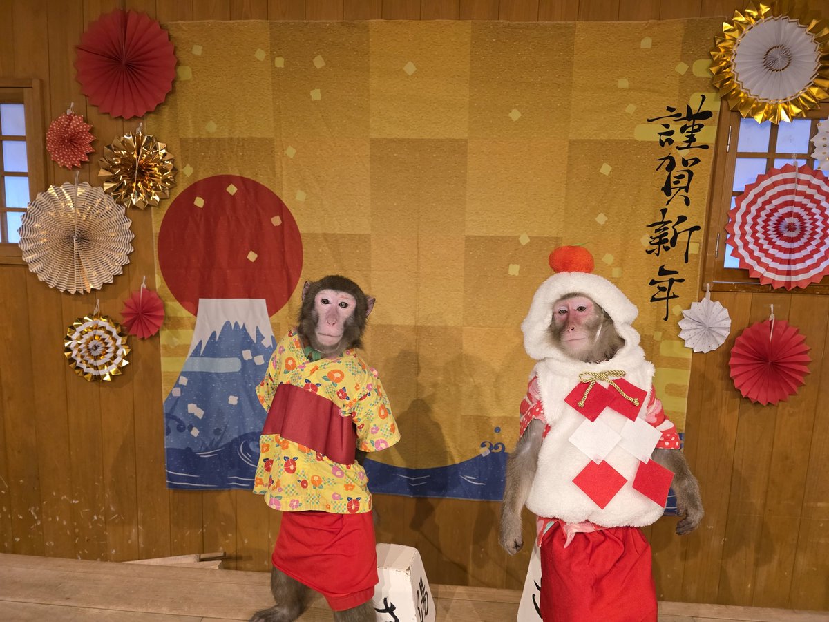 takeoemidesu's tweet photo. 明けましておめでとうございます🙇‍♀️
昨年はあおいが演舞の舞台に立てたりと色んな事をさせてもらいました。
2026年も色んな姿のあおいを皆様に見て頂けるよう頑張っていきますので是非応援、会いに来てください🎶
年初めは草津劇場でお待ちしております！
～一期一会～　　　　　あおいえみ https://t.co/6e0Oq09iSc