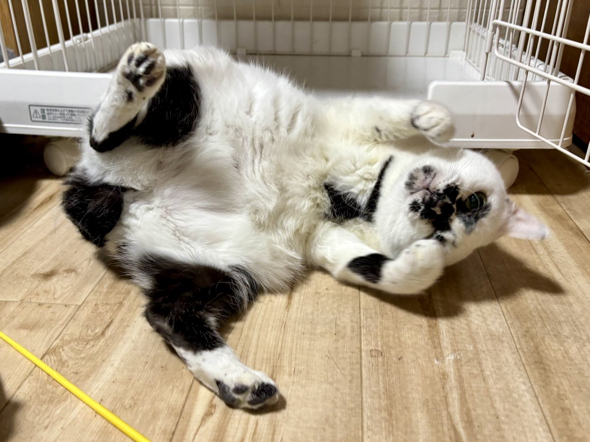 あけましておめでとうございます！