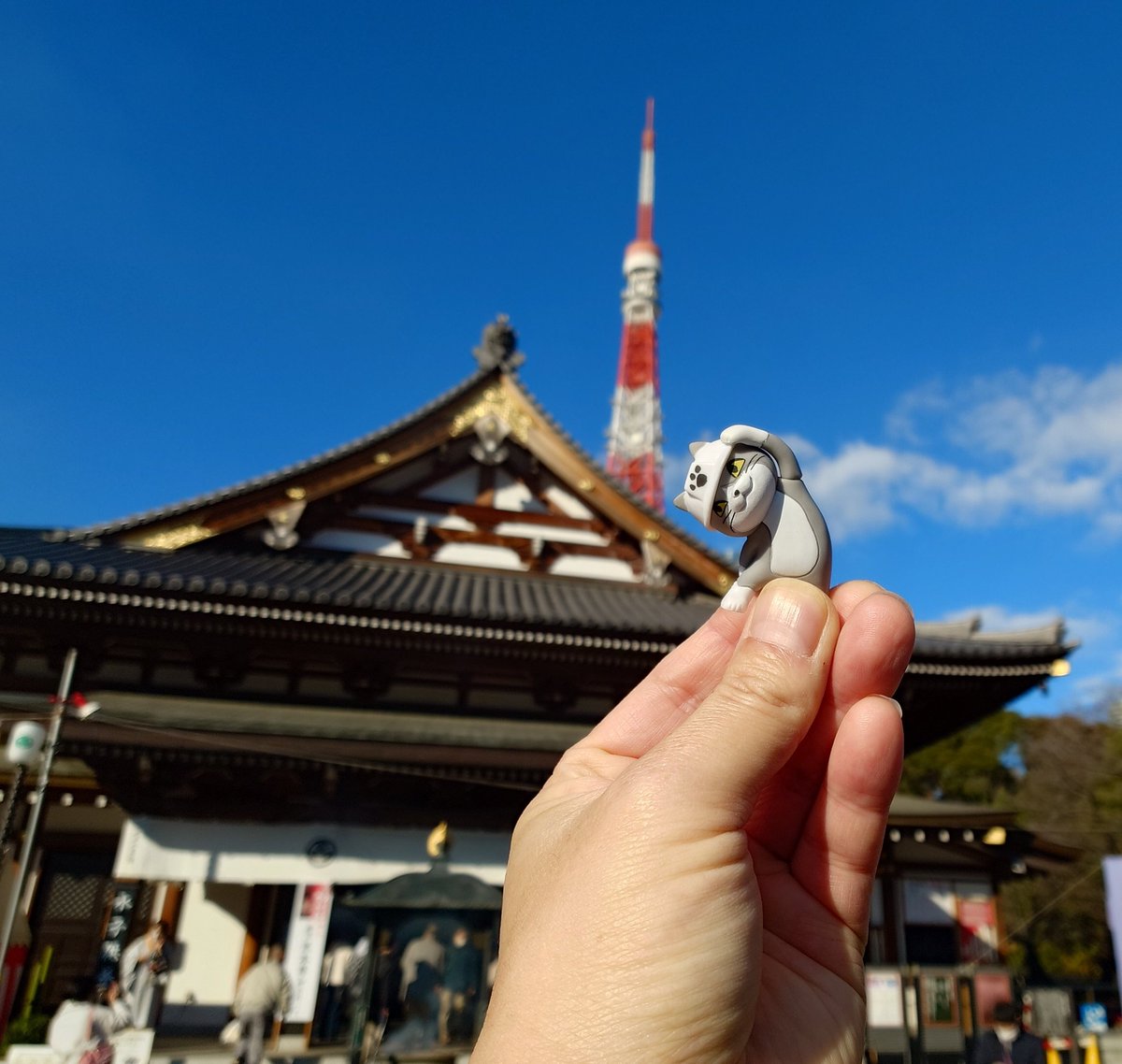 初詣
ヨシッ！
＃仕事猫