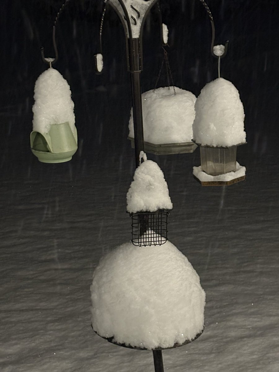 Tierney4351 tweet media