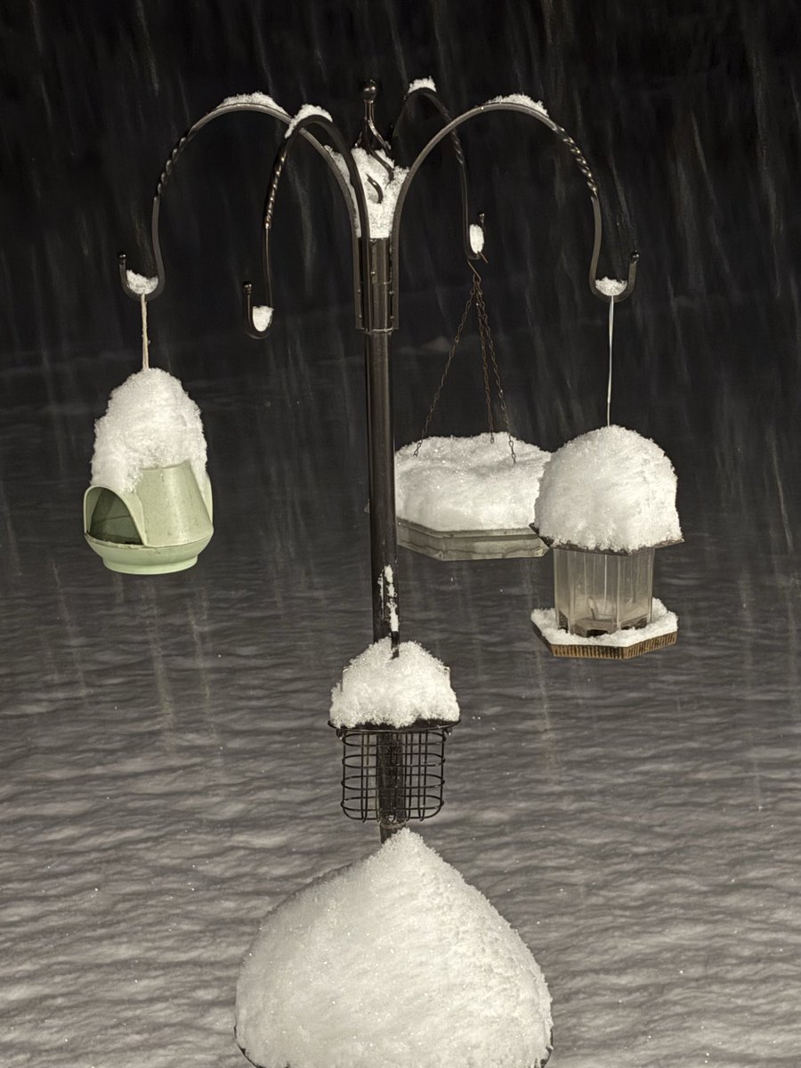 Tierney4351 tweet media