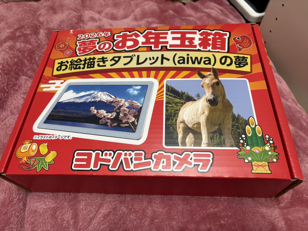 ヨドバシ夢のお年玉箱、お絵描きタブレットaiwaの夢中身はtabAE10と