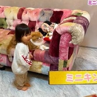 daichookinTV's tweet photo. これがヒカキンと家政婦の交尾で生まれたと思うとなんか https://t.co/184jx9bAis
