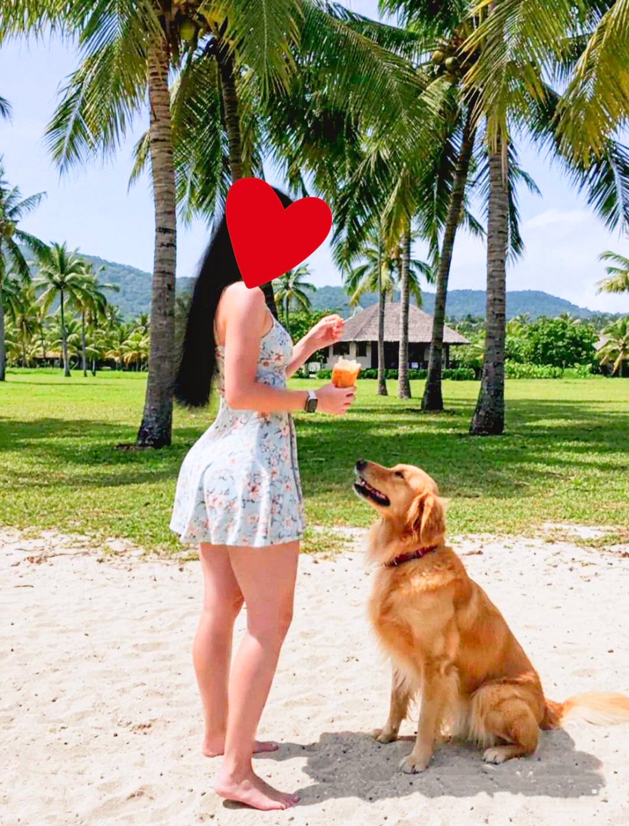 Princess Katie 💖👑🌹 tweet media