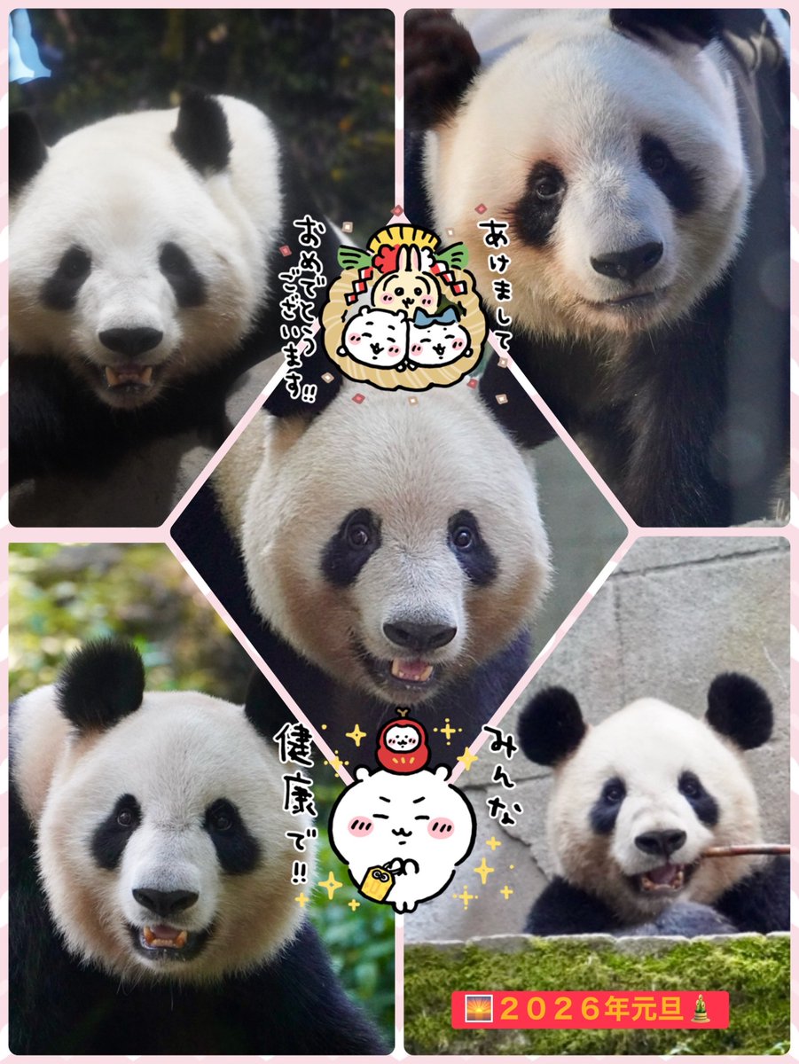 明けましておめでとうございます🎍
本年もどうぞよろしくおねがいします🫶