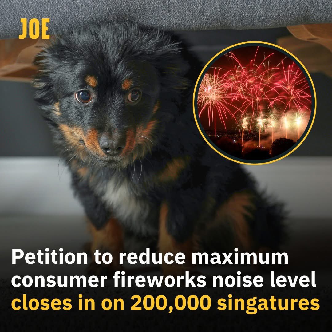 domdyer70's tweet image. All politicians need to wake to huge public anger over fireworks it’s a like war zone out there tonight