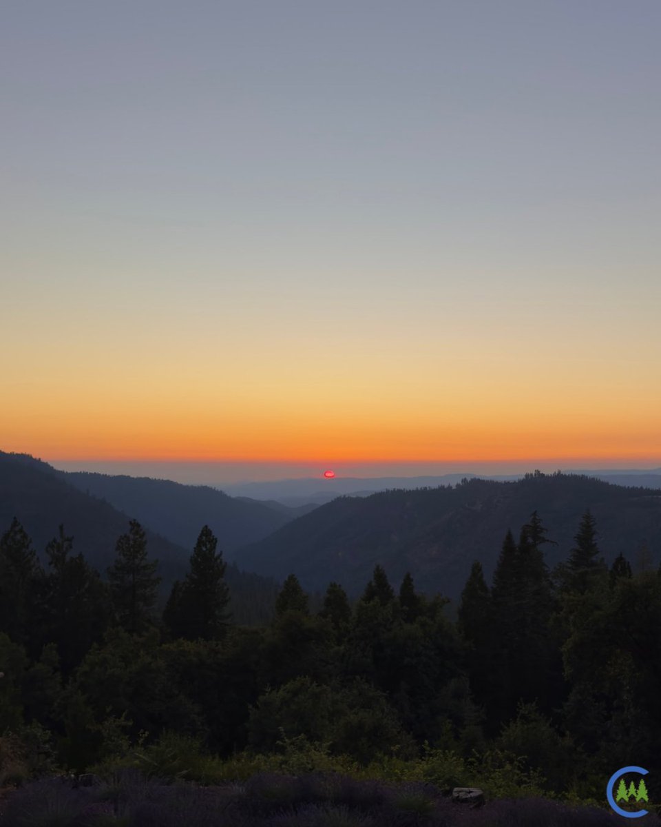 California Forestry Association tweet media