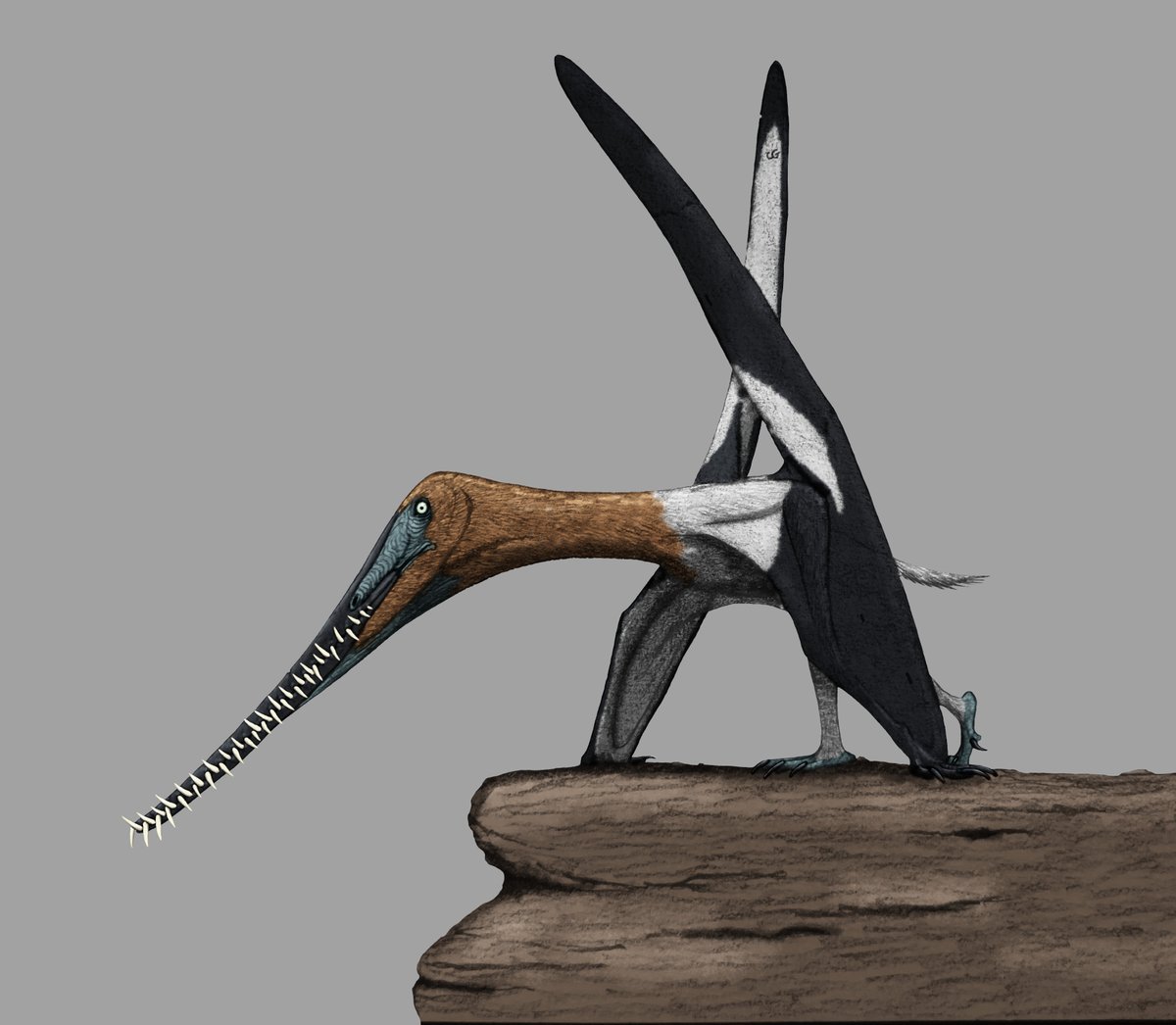 Carter Gatewood tweet media