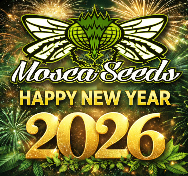 MoscaSeeds's tweet photo. WEED wish you a Happy New Year!🎉🎈🌿Cheers!🔥🎆
https://t.co/Ue1cWF8aR6
#moscaseeds #newyear2026 #happynewyear #cananbiscommunity #cannabisindustry #cannabisnews #weed #420 https://t.co/GHzb6P3aPy