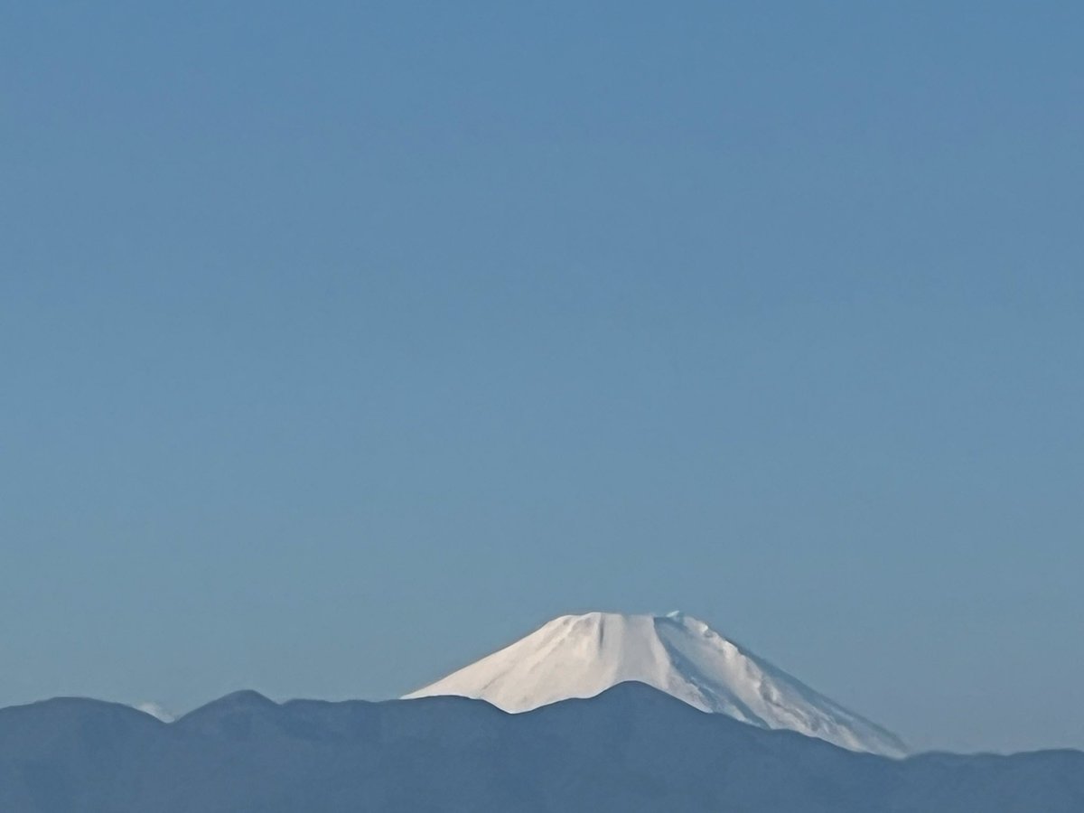 葛山信吾 tweet media