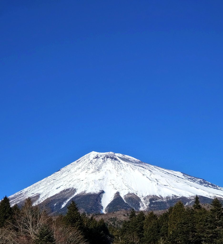 🎍【謹賀新年】🎍
　㊗️🗻🐴本年も宜しくお願い致します🙇‍♀️
　🥰笑顔🤩笑顔の一年に成しますように🤗🍀🌈
＃お花