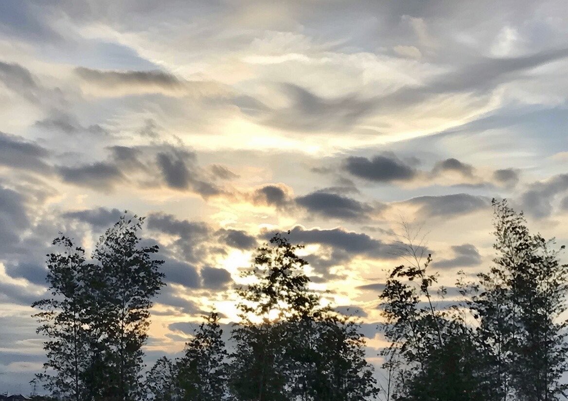 machimux's tweet photo. 新年あけましておめでとう🌅
＃新年のご挨拶 https://t.co/xsqWp5WPDZ